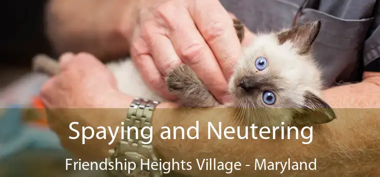 Spaying and Neutering Friendship Heights Village - Maryland