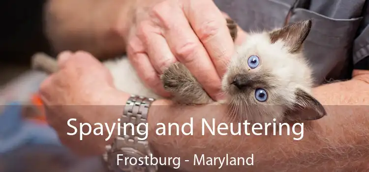 Spaying and Neutering Frostburg - Maryland