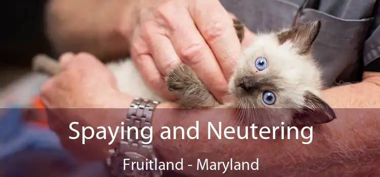 Spaying and Neutering Fruitland - Maryland