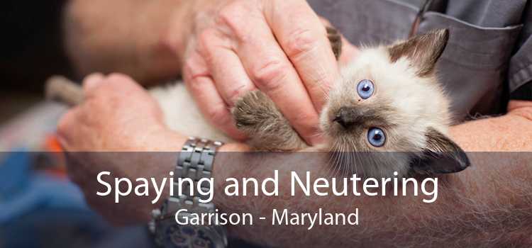 Spaying and Neutering Garrison - Maryland