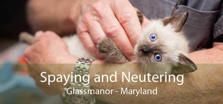 Spaying and Neutering Glassmanor - Maryland