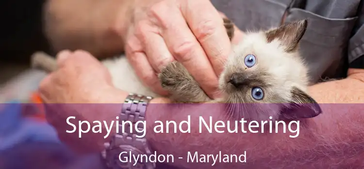 Spaying and Neutering Glyndon - Maryland