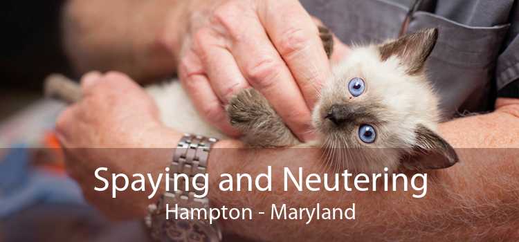 Spaying and Neutering Hampton - Maryland