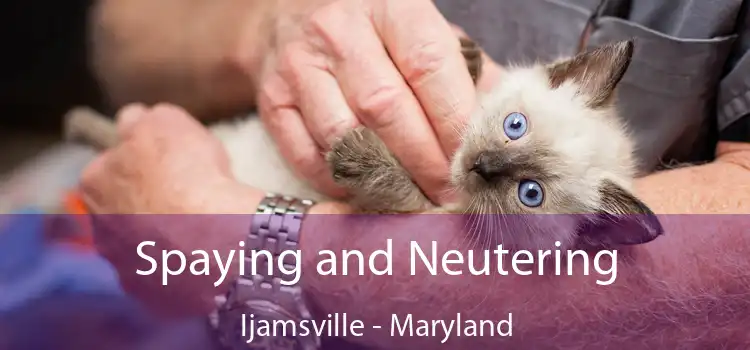 Spaying and Neutering Ijamsville - Maryland