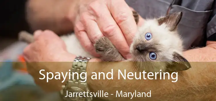 Spaying and Neutering Jarrettsville - Maryland