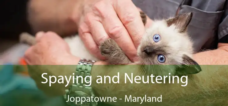 Spaying and Neutering Joppatowne - Maryland