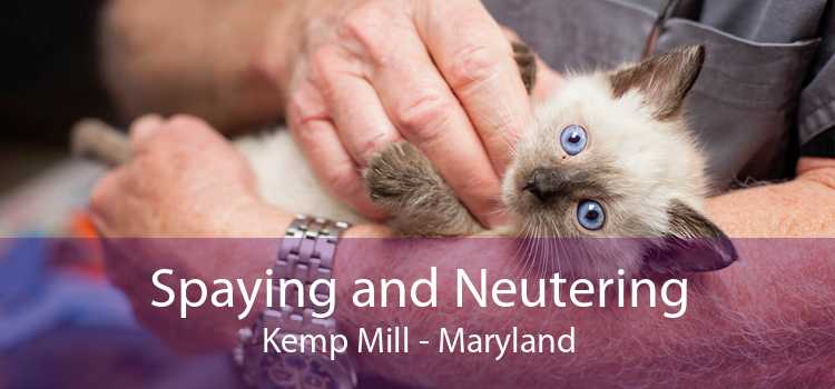 Spaying and Neutering Kemp Mill - Maryland