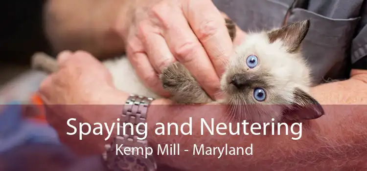Spaying and Neutering Kemp Mill - Maryland