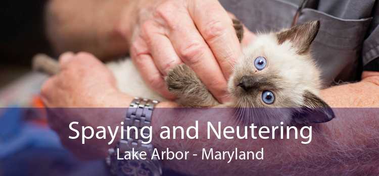 Spaying and Neutering Lake Arbor - Maryland
