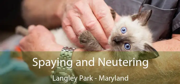 Spaying and Neutering Langley Park - Maryland