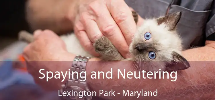 Spaying and Neutering Lexington Park - Maryland