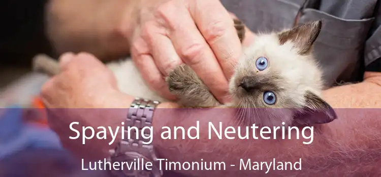 Spaying and Neutering Lutherville Timonium - Maryland