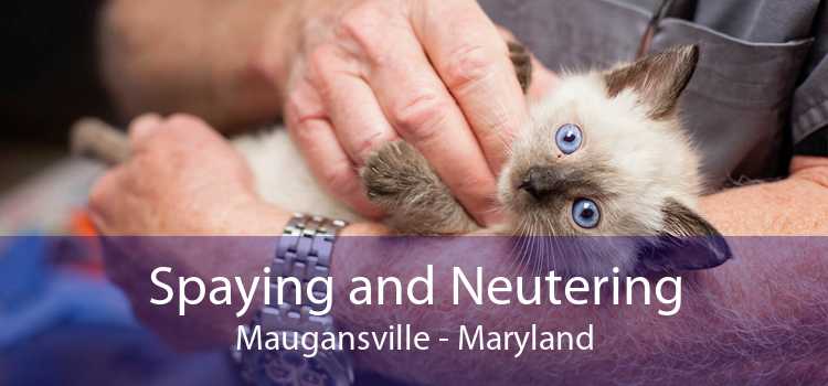 Spaying and Neutering Maugansville - Maryland