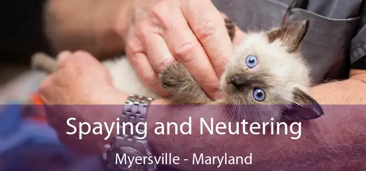 Spaying and Neutering Myersville - Maryland