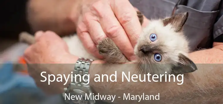 Spaying and Neutering New Midway - Maryland