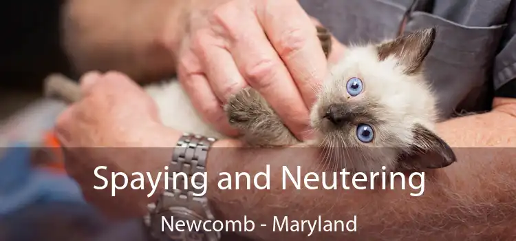 Spaying and Neutering Newcomb - Maryland