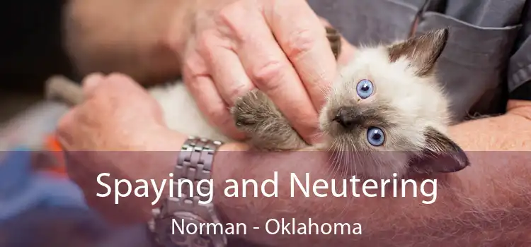 Spaying and Neutering Norman - Oklahoma