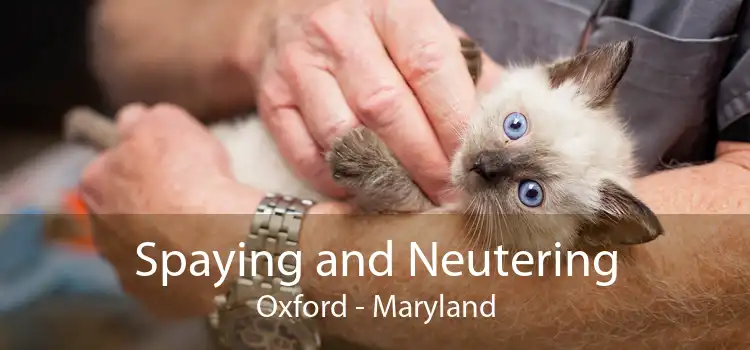 Spaying and Neutering Oxford - Maryland