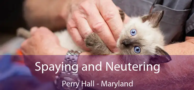 Spaying and Neutering Perry Hall - Maryland