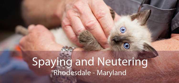 Spaying and Neutering Rhodesdale - Maryland