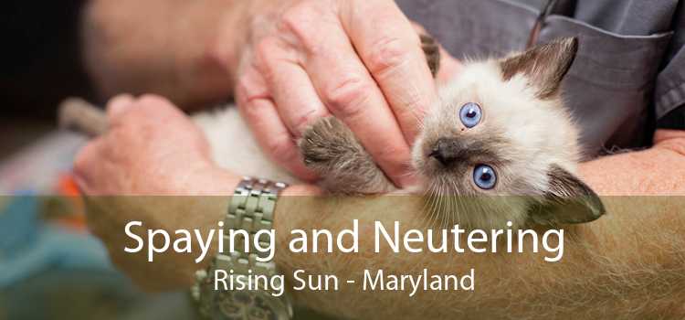 Spaying and Neutering Rising Sun - Maryland