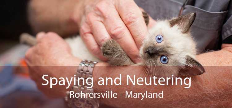 Spaying and Neutering Rohrersville - Maryland