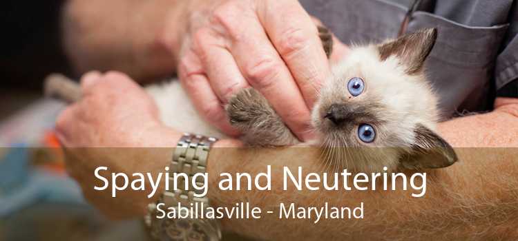Spaying and Neutering Sabillasville - Maryland