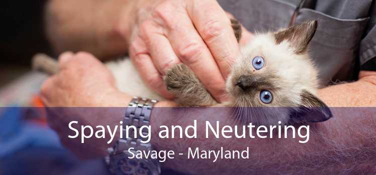 Spaying and Neutering Savage - Maryland
