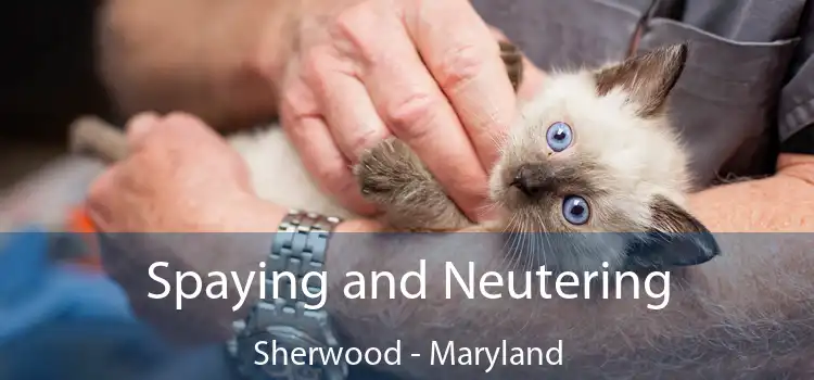 Spaying and Neutering Sherwood - Maryland