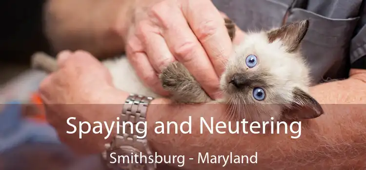 Spaying and Neutering Smithsburg - Maryland