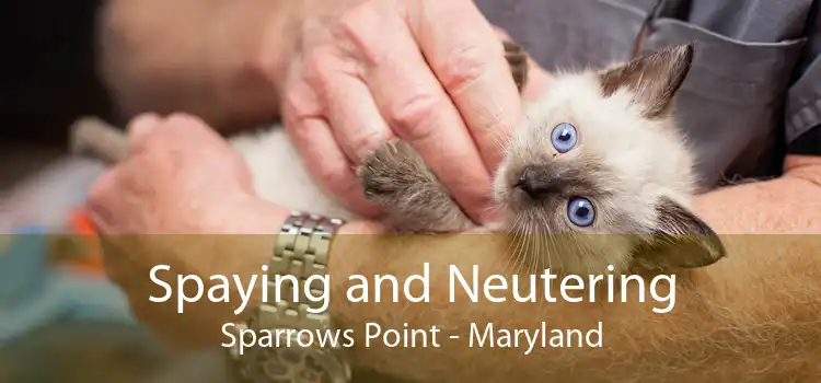 Spaying and Neutering Sparrows Point - Maryland