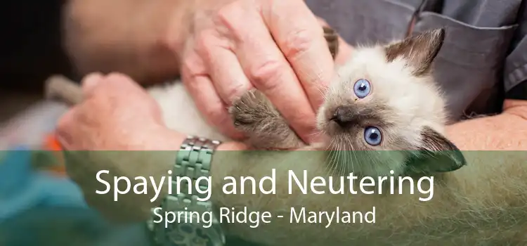 Spaying and Neutering Spring Ridge - Maryland