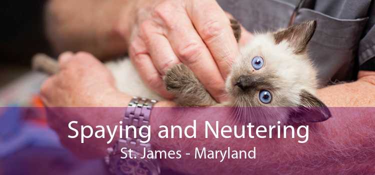 Spaying and Neutering St. James - Maryland