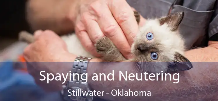 Spaying and Neutering Stillwater - Oklahoma