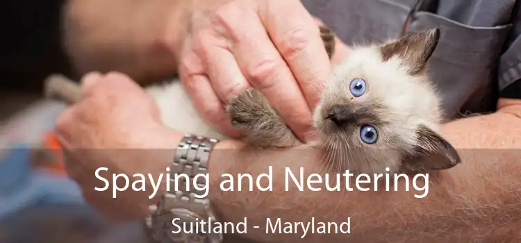 Spaying and Neutering Suitland - Maryland