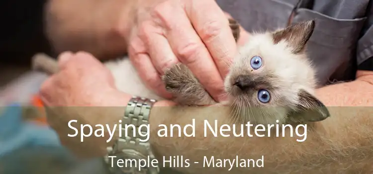 Spaying and Neutering Temple Hills - Maryland