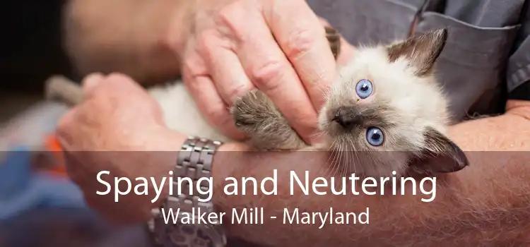 Spaying and Neutering Walker Mill - Maryland