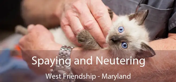 Spaying and Neutering West Friendship - Maryland