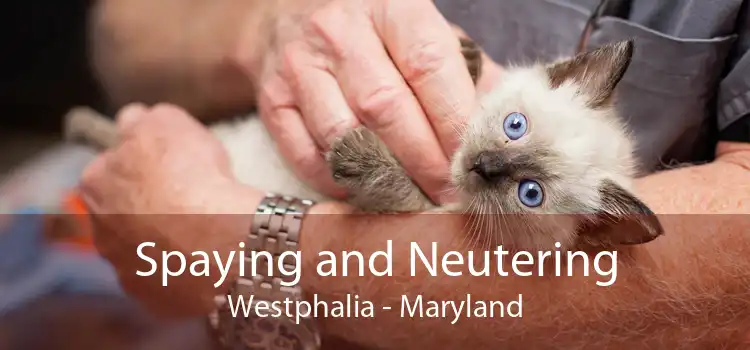 Spaying and Neutering Westphalia - Maryland