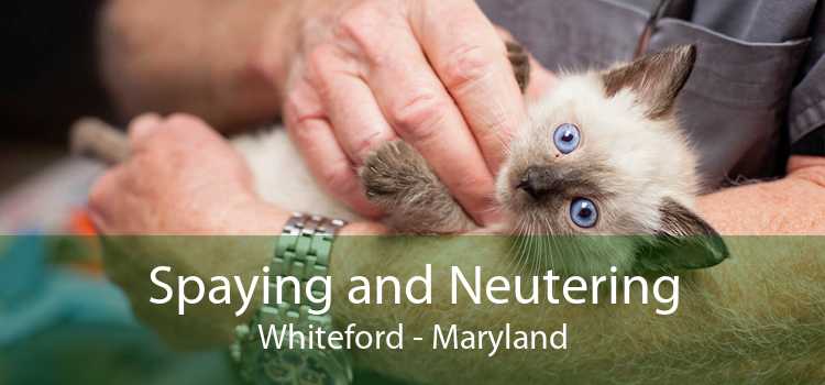 Spaying and Neutering Whiteford - Maryland