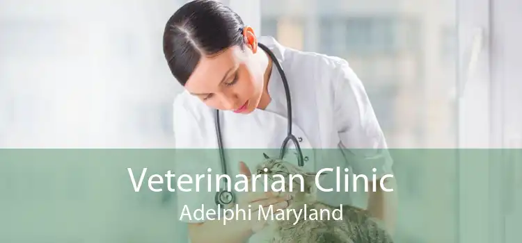 Veterinarian Clinic Adelphi Maryland