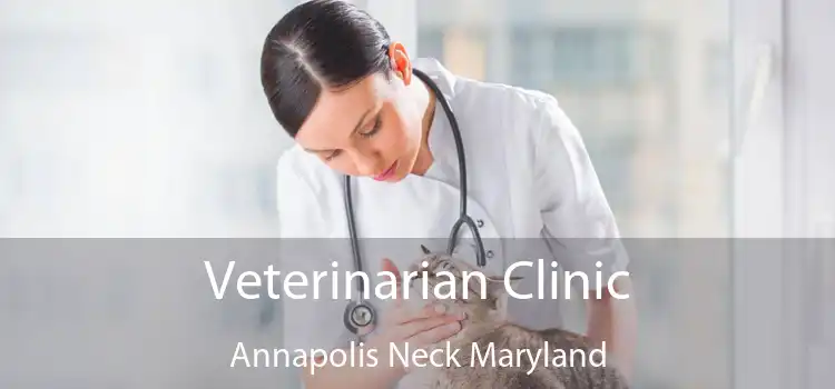 Veterinarian Clinic Annapolis Neck Maryland