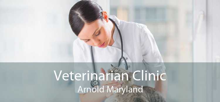 Veterinarian Clinic Arnold Maryland