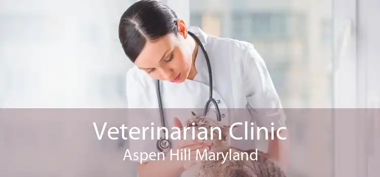 Veterinarian Clinic Aspen Hill Maryland