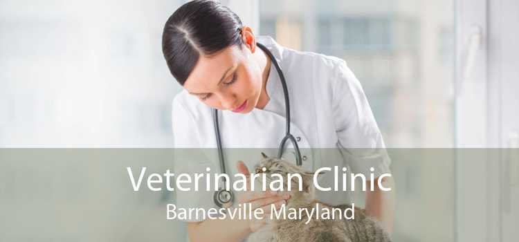 Veterinarian Clinic Barnesville Maryland