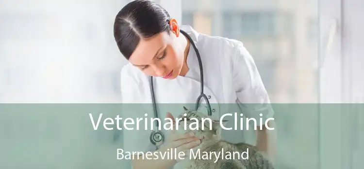 Veterinarian Clinic Barnesville Maryland