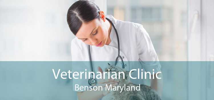 Veterinarian Clinic Benson Maryland