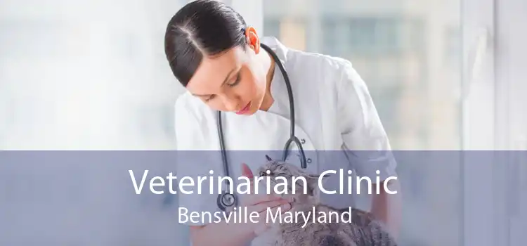 Veterinarian Clinic Bensville Maryland
