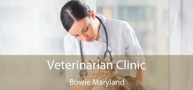 Veterinarian Clinic Bowie Maryland