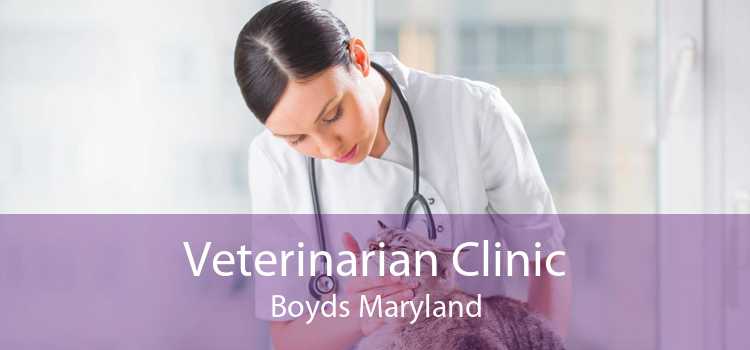 Veterinarian Clinic Boyds Maryland